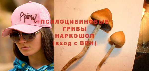 дживик Абинск