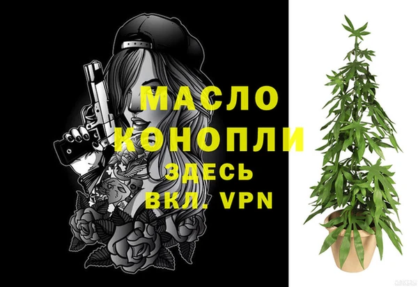 дживик Абинск