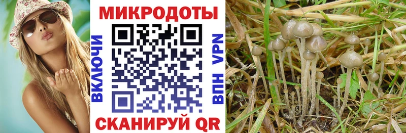 Псилоцибиновые грибы мицелий  Сысерть 